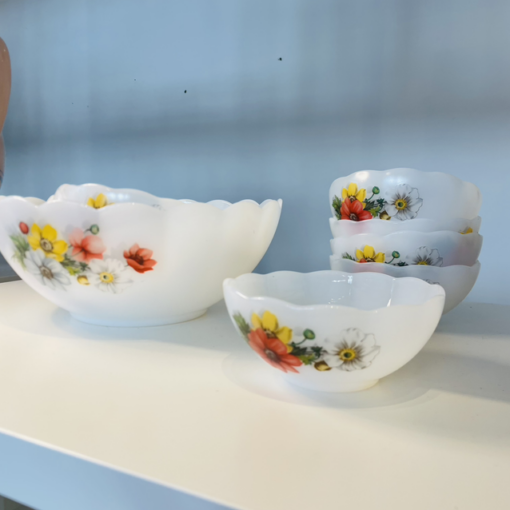 FRUITS - 1