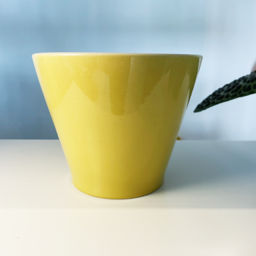 YELLO - 2