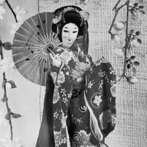 BLIKKEN GEISHA